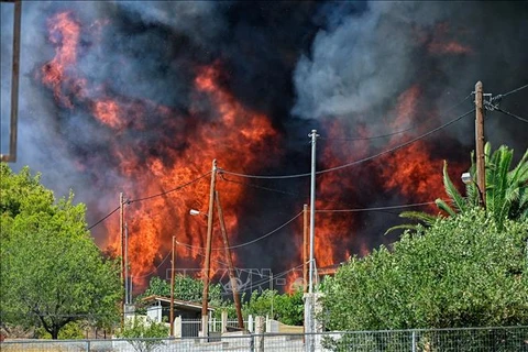 Hiện trường đám cháy rừng ở Irini, phía Đông thủ đô Athens, Hy Lạp. (Ảnh: AFP/TTXVN)