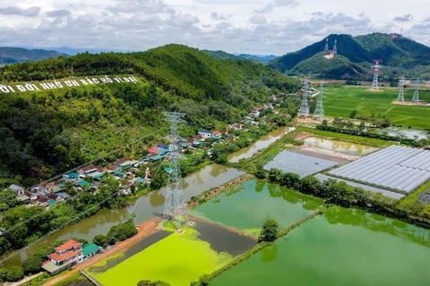 Thi công kéo dây đoạn Quảng Trạch-Quỳnh Lưu trên địa bàn huyện Nam Đàn, Nghệ An. (Ảnh: Huy Hùng/TTXVN)