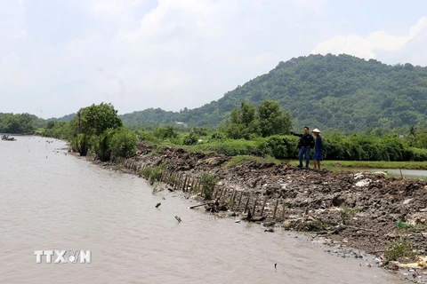 Ảnh minh họa.(Nguồn: Lê Huy Hải/TTXVN) 