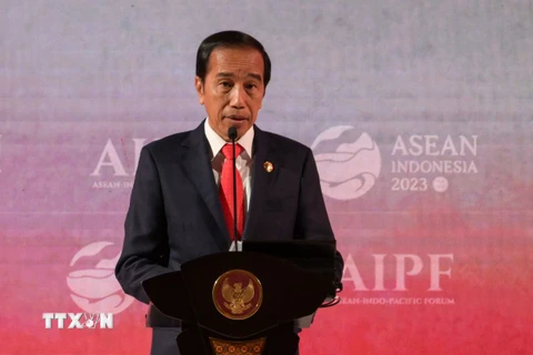 Tổng thống Indonesia Joko Widodo. (Ảnh: AFP/TTXVN)