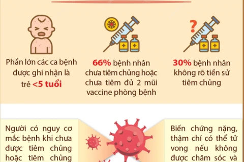 Ngày 27/8/2024: Thành phố Hồ Chí Minh công bố dịch sởi 