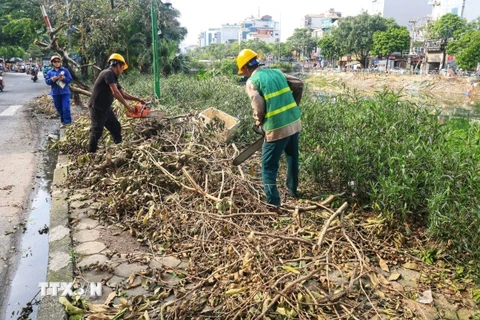 Thu dọn, cắt tỉa cây xanh trên đường Kim Giang, quận Thanh Xuân. (Ảnh: Tuấn Anh/ TTXVN)