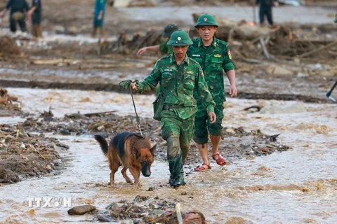 Lực lượng quân đội triển khai tìm kiếm các nạn nhân mất tích do sạt lở đất tại làng Nủ, xã Phúc Khánh, huyện Bảo Yên. (Ảnh: Dương Giang/TTXVN)