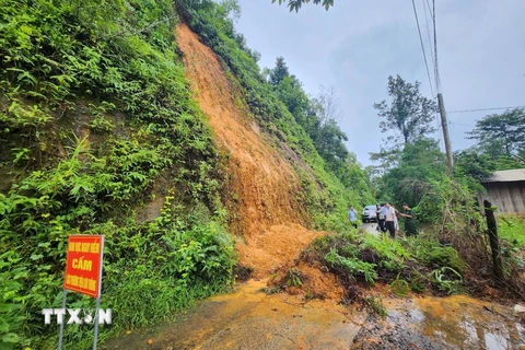 Lãnh đạo huyện Bù Đăng kiểm tra khu vực đồi bị sạt lở ở thị trấn Đức Phong. (Ảnh: TTXVN phát)