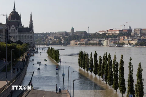 Mực nước sông Danube đoạn qua thủ đô Budapest, Hungary dâng cao sau bão Boris ngày 19/9/2024. (Ảnh: THX/TTXVN)