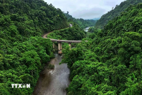 Ảnh minh họa. (Nguồn: TTXVN)