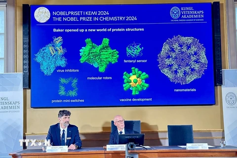 Lễ công bố giải Nobel Hóa học năm 2024 tại Viện Hàn lâm Khoa học Hoàng gia Thụy Điển ở Stockholm, ngày 9/10/2024. (Ảnh: AA/TTXVN)