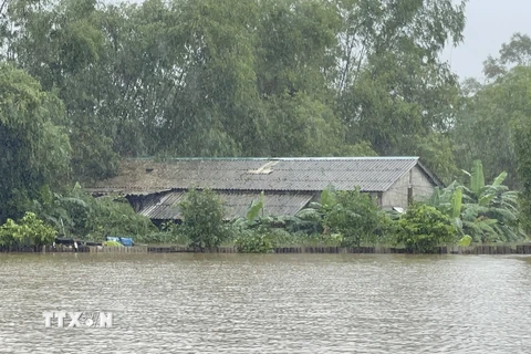 Một căn nhà tại xã Vĩnh Long, huyện Vĩnh Linh bị ngập tới nóc. (Ảnh: Thanh Thuỷ/TTXVN)