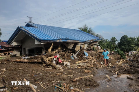 Cảnh tàn phá sau bão Trami tại tỉnh Batangas, Philippines, ngày 25/10/2024. (Ảnh: THX/TTXVN)