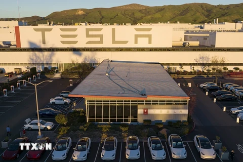 Nhà máy của công ty Tesla tại Fremont, California, Mỹ. (Ảnh: AFP/TTXVN) 