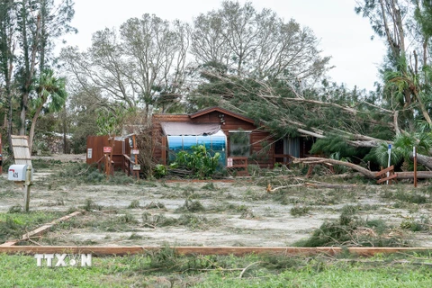 Cảnh thiệt hại do bão tại bang Florida, Mỹ. (Ảnh: THX/TTXVN) 