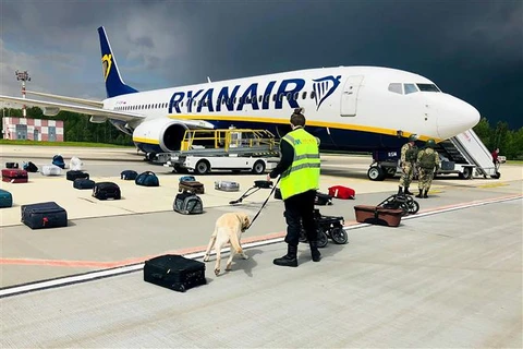 Cảnh sát kiểm tra hành lý trên chuyến bay của Hãng hàng không Ryanair, sau khi máy bay này bị buộc phải chuyển hướng và hạ cánh xuống sân bay quốc tế Minsk, Belarus ngày 23/5/2021. (Ảnh: AFP/TTXVN)