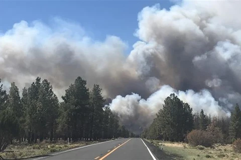 Khói bốc lên từ đám cháy rừng ở bang Arizona, Mỹ ngày 6/6/2021. (Ảnh: ABC/TTXVN)