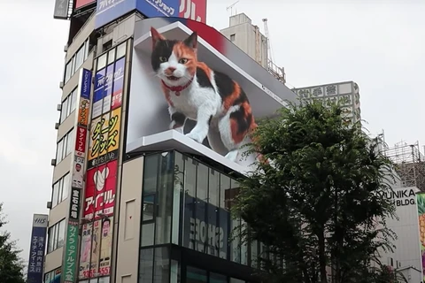 Chú mèo Shinjuku. (Nguồn: kotaku.com)