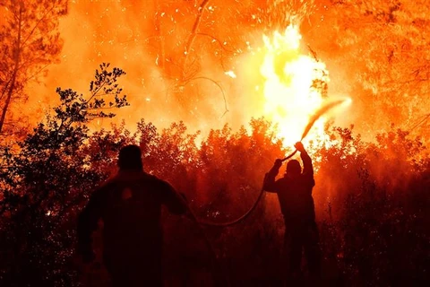Lực lượng cứu hỏa nỗ lực dập lửa cháy rừng tại thị trấn Schinos, gần thành phố Corinth (Hy Lạp), ngày 19/5/2021. (Ảnh: THX/TTXVN)