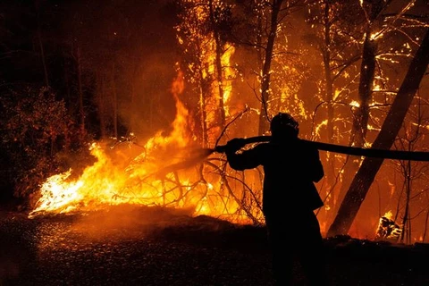 Lính cứu hỏa nỗ lực dập lửa cháy rừng tại phía Bắc thủ đô Athens (Hy Lạp), ngày 5/8/2021. (Ảnh: THX/TTXVN)