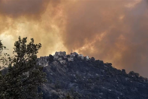Khói bốc lên từ các đám cháy rừng tại Kabylia (Algeria), ngày 10/8/2021. (Ảnh: AFP/TTXVN)