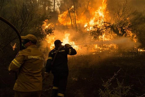 Lính cứu hỏa nỗ lực dập lửa cháy rừng trên đảo Evia (Hy Lạp), ngày 8/8/2021. (Ảnh: THX/TTXVN)