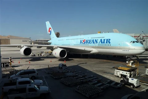 Máy bay của hãng hàng không Korean Air. (Ảnh: AFP/TTXVN)