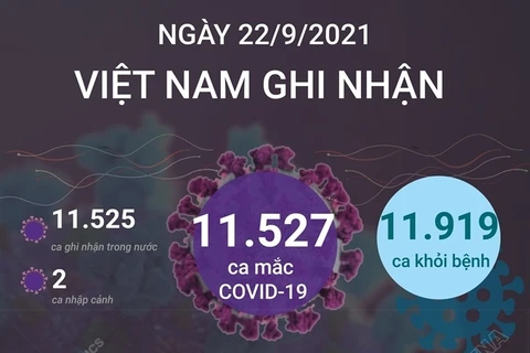 Việt Nam ghi nhận hơn 11.500 ca mắc mới COVID-19 trong 24 giờ