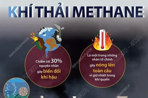 Ứng phó với biến đổi khí hậu: Những điều cần biết về khí thải methane