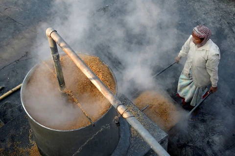 Một công nhân thu gom gạo đã xử lý để sấy khô tại một nhà máy gạo ở ngoại ô Kolkata (Ấn Độ). (Nguồn: reuters.com)