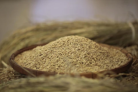 Xuất khẩu gạo của Thái Lan dự kiến sẽ tiếp tục tăng trong quý 4/2021, với hơn 700.000 tấn mỗi tháng. (Nguồn: bangkokpost.com)