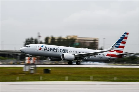 Máy bay của American Airlines tại sân bay Miami, bang Florida (Mỹ), ngày 16/6/2021. (Ảnh: AFP/TTXVN)