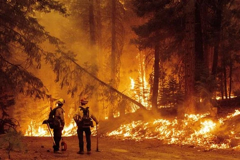 Cháy rừng dữ dội tại cộng đồng Prattville ở hạt Plumas, California (Mỹ) hồi tháng 7/2021. (Ảnh: AFP/TTXVN)