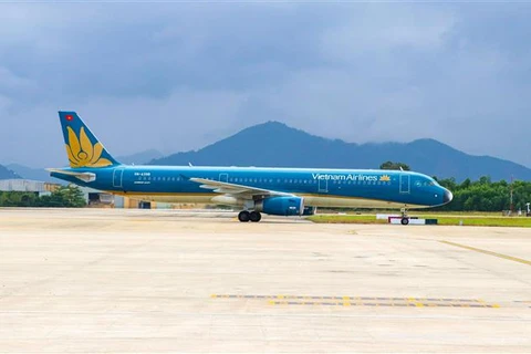 Máy bay của Vietnam Airlines. (Ảnh: Trần Lê Lâm/TTXVN)