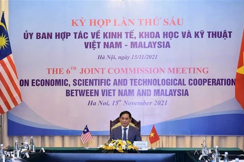 Bộ trưởng Ngoại giao Bùi Thanh Sơn đồng chủ trì Kỳ họp lần thứ 6 Ủy ban Hợp tác về kinh tế, khoa học và kỹ thuật Việt Nam-Malaysia. (Ảnh: TTXVN)