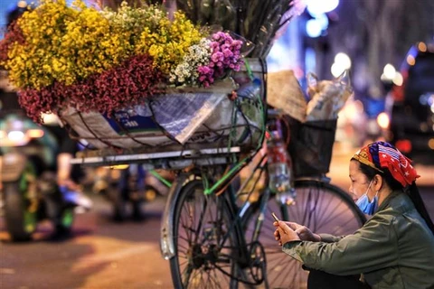 Một gánh hoa trên phố Phan Đình Phùng (Hà Nội). (Ảnh: Thành Đạt/TTXVN)