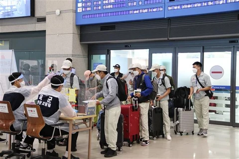 Lao động Việt Nam làm thủ tục nhập cảnh tại sân bay Incheon (Hàn Quốc). (Ảnh: Mạnh Hùng/TTXVN)