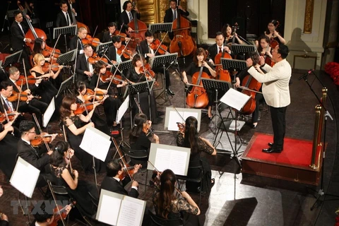 Dàn nhạc giao hưởng Việt Nam biểu diễn trong một chương trình hòa nhạc. (Ảnh: Thanh Tùng/TTXVN)