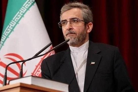 Nhà đàm phán hạt nhân hàng đầu của Iran, ông Ali Bagheri Kani. (Ảnh: IRNA/TTXVN)