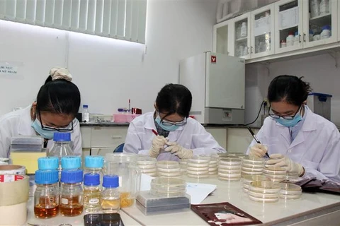 Hoạt động tại Phòng Công nghệ sinh học Trung tâm Nghiên cứu triển khai Khu Công nghệ cao Thành phố Hồ Chí Minh. (Ảnh: Tiến Lực/TTXVN)