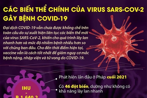 Các biến thể chính của virus SARS-CoV-2 gây bệnh COVID-19