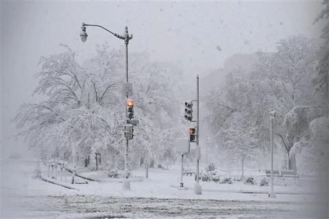 Tuyết rơi dày đặc tại Washington, D.C. (Mỹ) ngày 3/1/2022. (Ảnh: AFP/TTXVN)