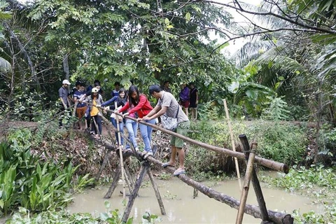 Du khách trải nghiệm đi cầu khỉ ở Cồn Sơn, phường Bùi Hữu Nghĩa, quận Bình Thủy (Cần Thơ). (Ảnh: Thanh Liêm/TTXVN)