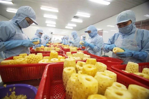 Thương mại song phương đã ghi nhận mức tăng trưởng cao với các mặt hàng xuất khẩu truyền thống từ Việt Nam như rau quả, thủy sản... (Ảnh: Vũ Sinh/TTXVN)