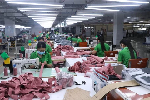 Hoạt động sản xuất tại Công ty TNHH Tainan Enterprises Việt Nam, Khu kinh tế Bình Hiệp (Long An). (Ảnh: Bùi Giang/TTXVN)