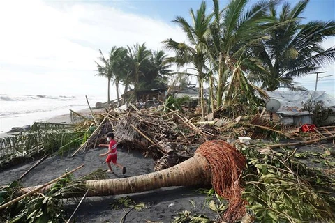 Cây cối gãy đổ do bão Rai tại thị trấn Dulag, tỉnh Leyte (Philippines) ngày 17/12/2021. (Ảnh: AFP/TTXVN)