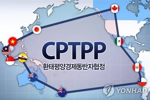 Biểu tượng CPTPP và quốc kỳ 11 nước thành viên gồm Australia, Brunei, Canada, Chile, Nhật Bản, Malaysia, Mexico, New Zealand, Peru, Singapore và Việt Nam. (Ảnh: Yonhap/TTXVN)