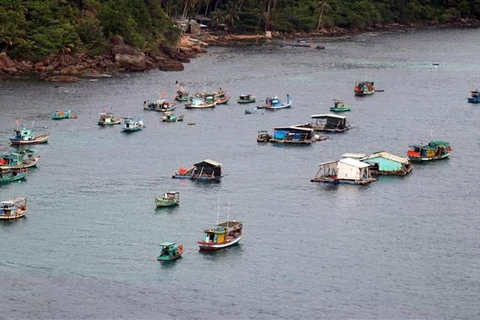 Nuôi cá lồng bè trên vùng biển An Thới, thành phố Phú Quốc (Kiên Giang). (Ảnh: Lê Huy Hải/TTXVN)