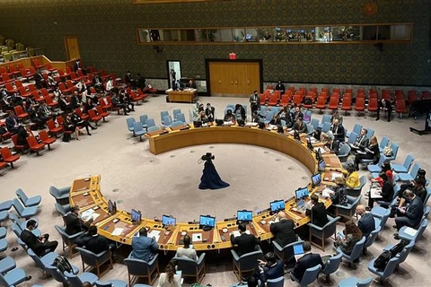 Một phiên họp của Hội đồng Bảo an Liên hợp quốc. (Ảnh: AA/TTXVN) 