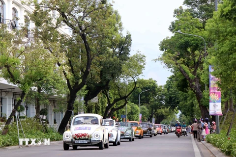 Diễu hành xe ôtô cổ trên đường Lê Lợi ven sông Hương. (Ảnh: Đỗ Trưởng/TTXVN)
