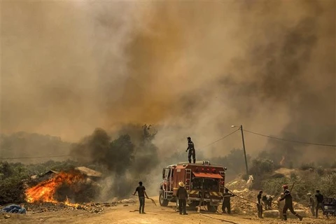 Lính cứu hỏa nỗ lực dập đám cháy rừng tại vùng Ksar Sghir, miền Bắc Maroc ngày 14/7/2022. (Ảnh: AFP/TTXVN)