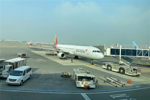 Máy bay của hãng hàng không Asiana Airlines tại sân bay quốc tế Gimpo. (Ảnh: Anh Nguyên/TTXVN)