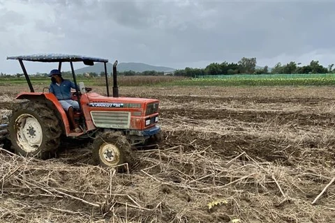 Dự thảo luật đã thể chế hóa chủ trương nâng cao hiệu quả sử dụng đất nông nghiệp theo quy hoạch. (Ảnh: Tường Quân/TTXVN)