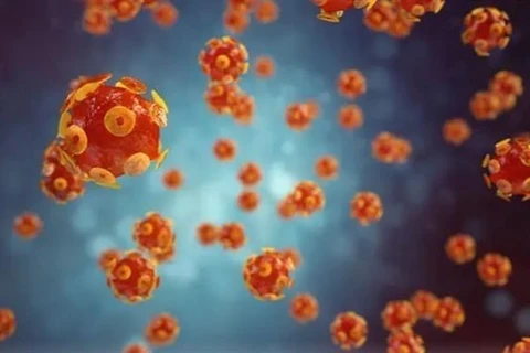 Hình ảnh mô phỏng virus gây bệnh viêm gan. (Ảnh: Getty Images/TTX